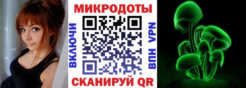Галлюциногенные грибы Psilocybe  Егорьевск 
